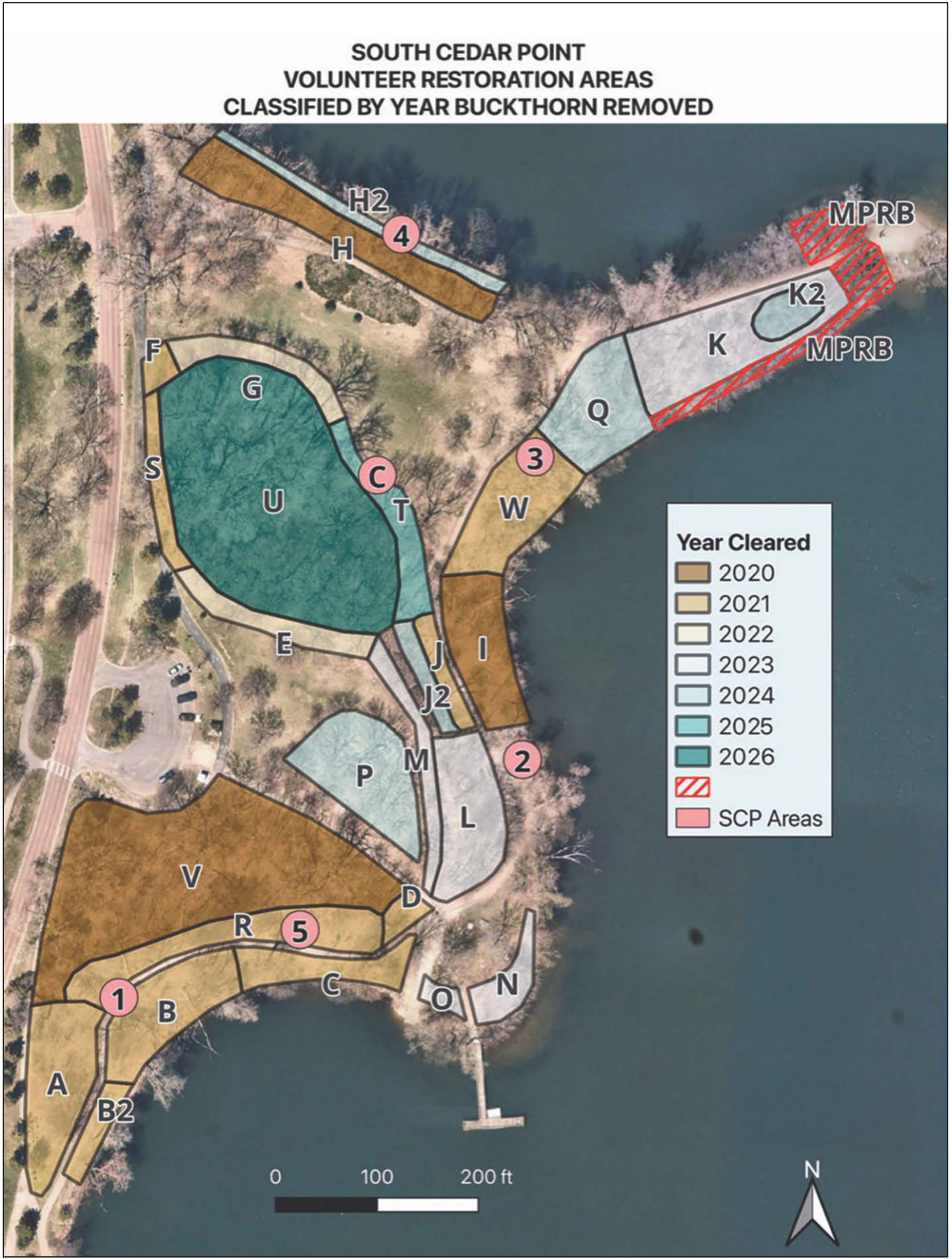Cedar Lake Park Association Continues Restoration Work on South Cedar Point