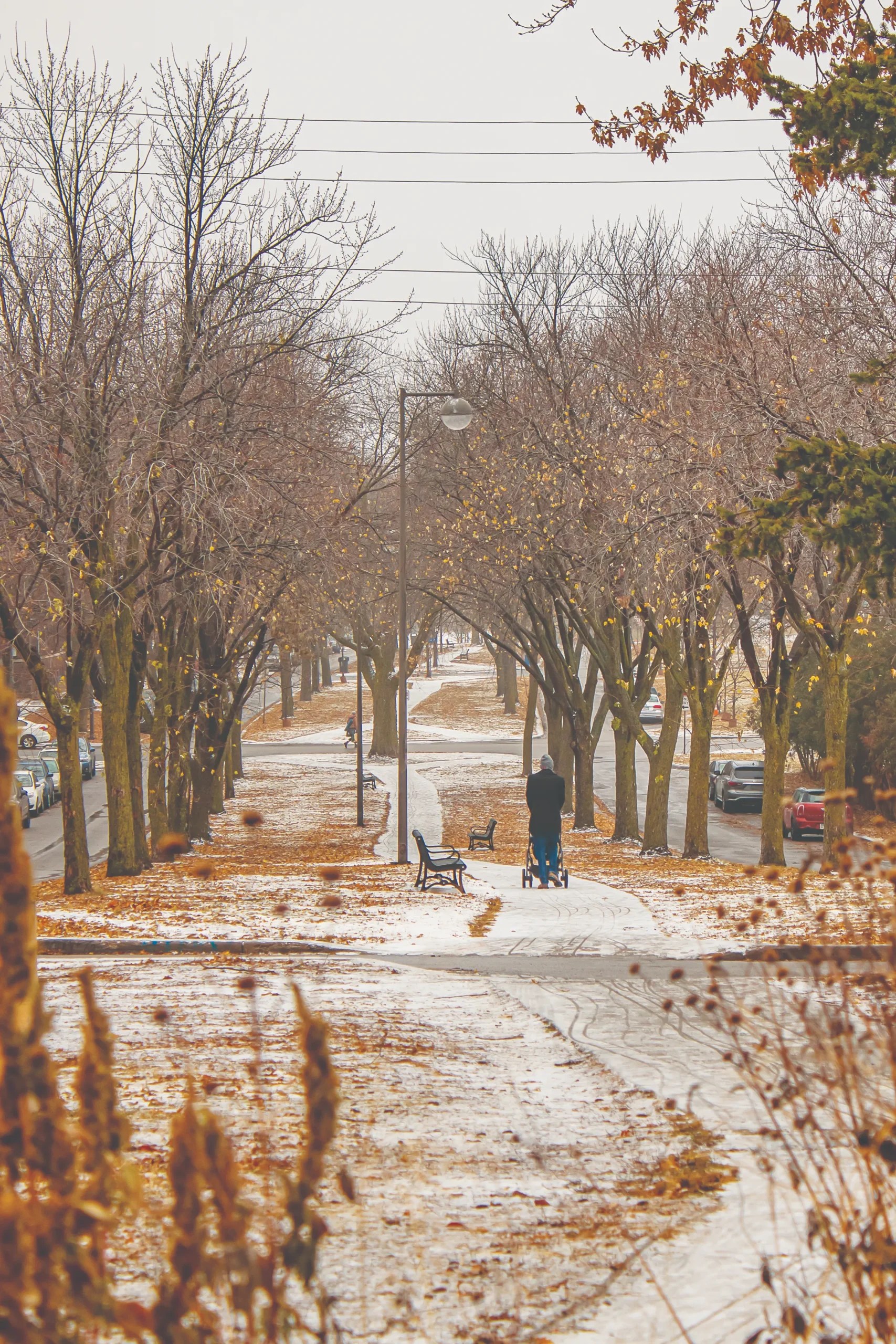 Winter on the mall