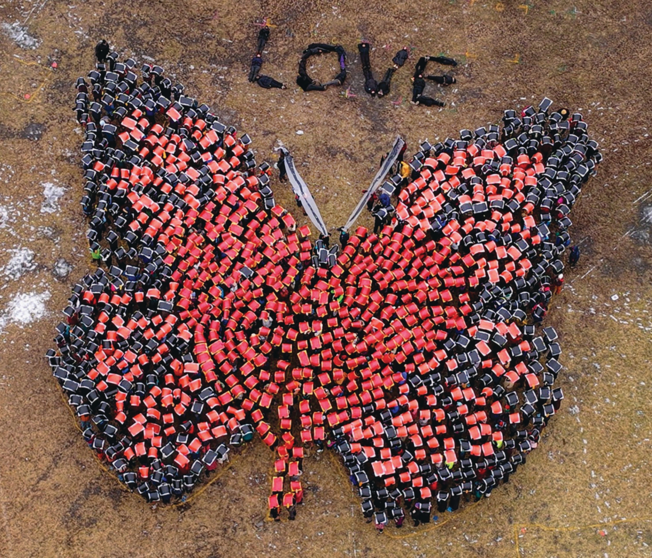 The Butterfly Effect in Minneapolis: Art, Protest and Community