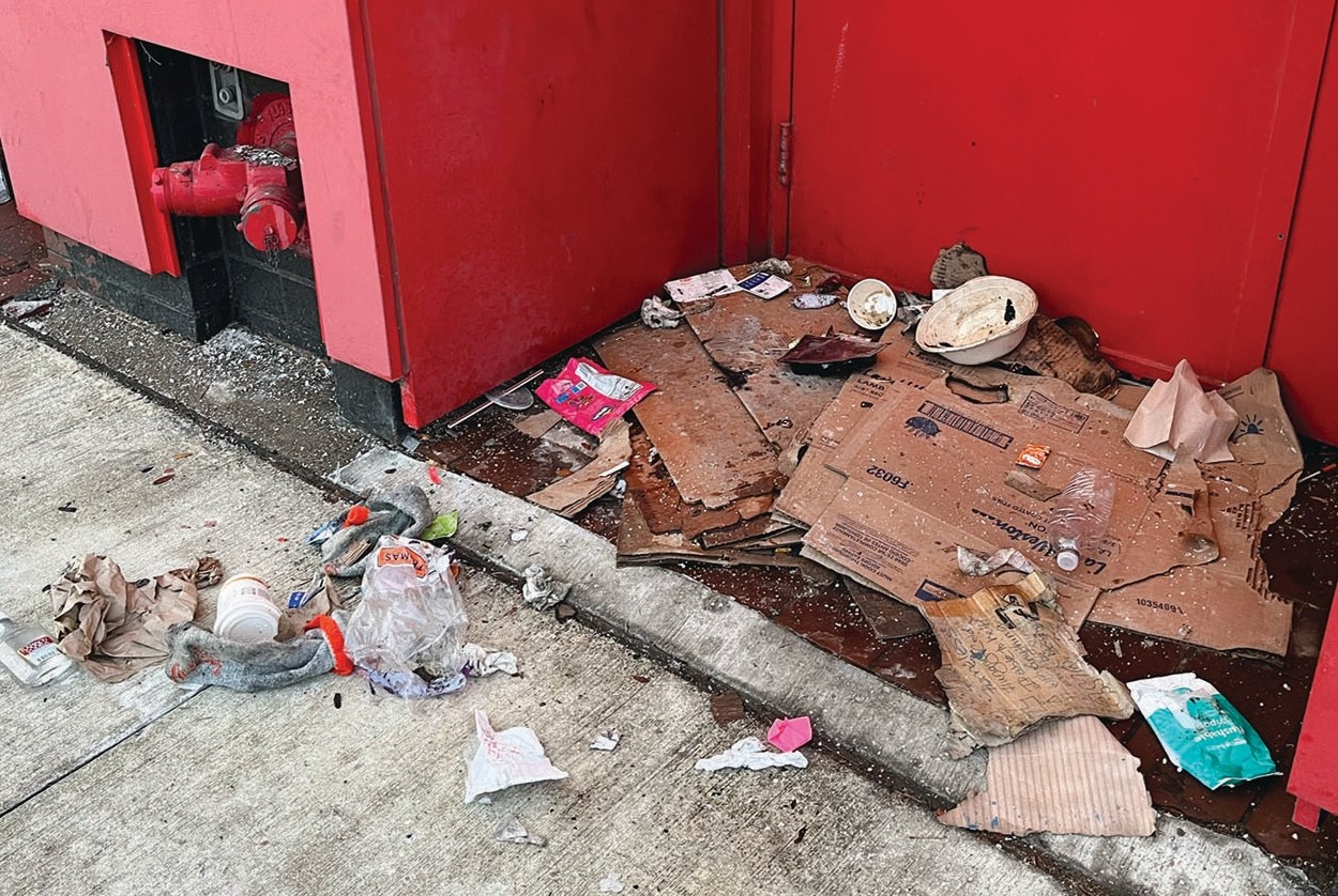 (Images: Paula Chesley)