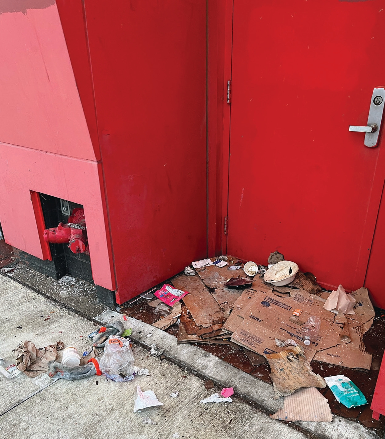 (Images: Paula Chesley)